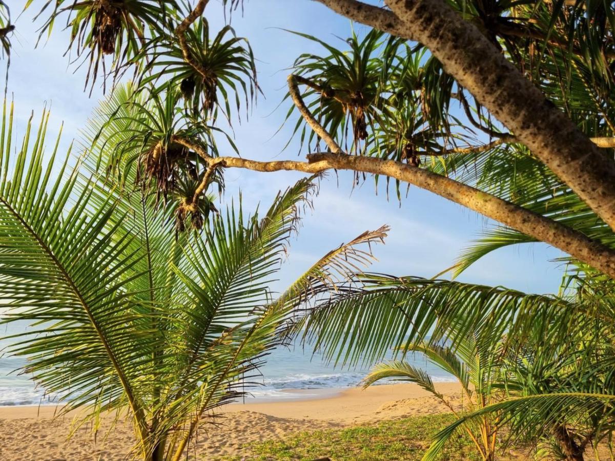 Golden Beach Paradise 탕갈레 외부 사진