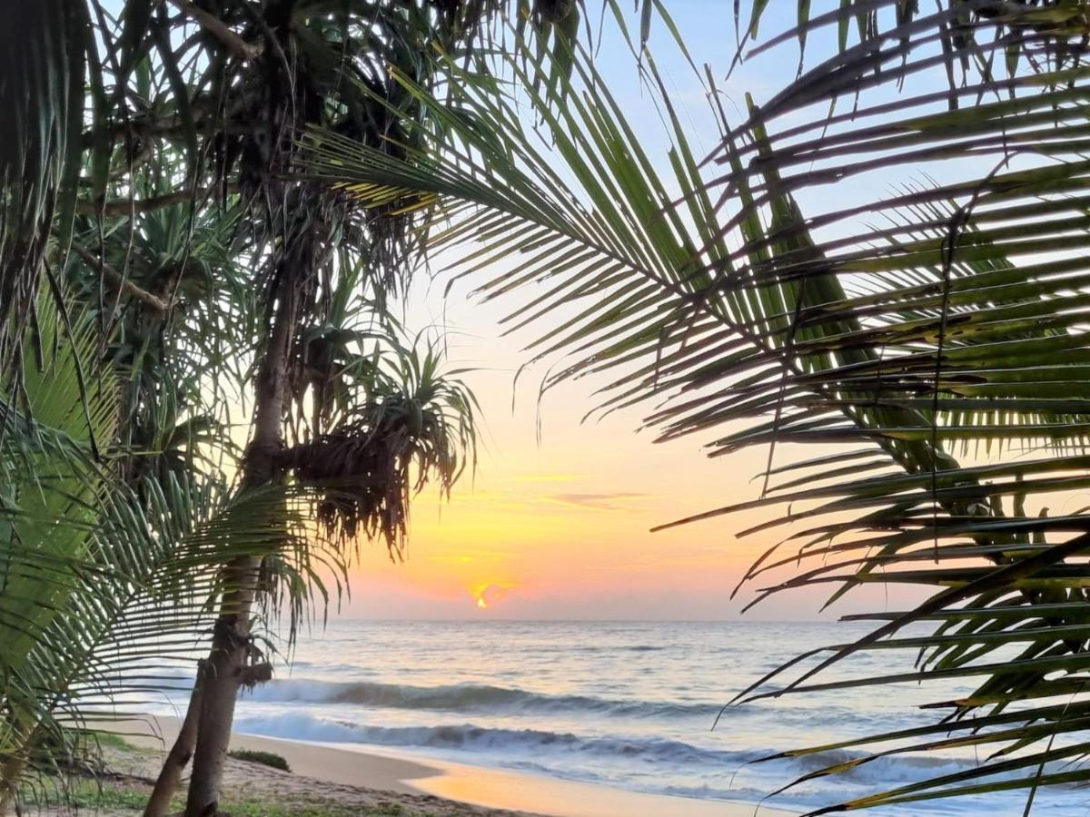 Golden Beach Paradise 탕갈레 외부 사진