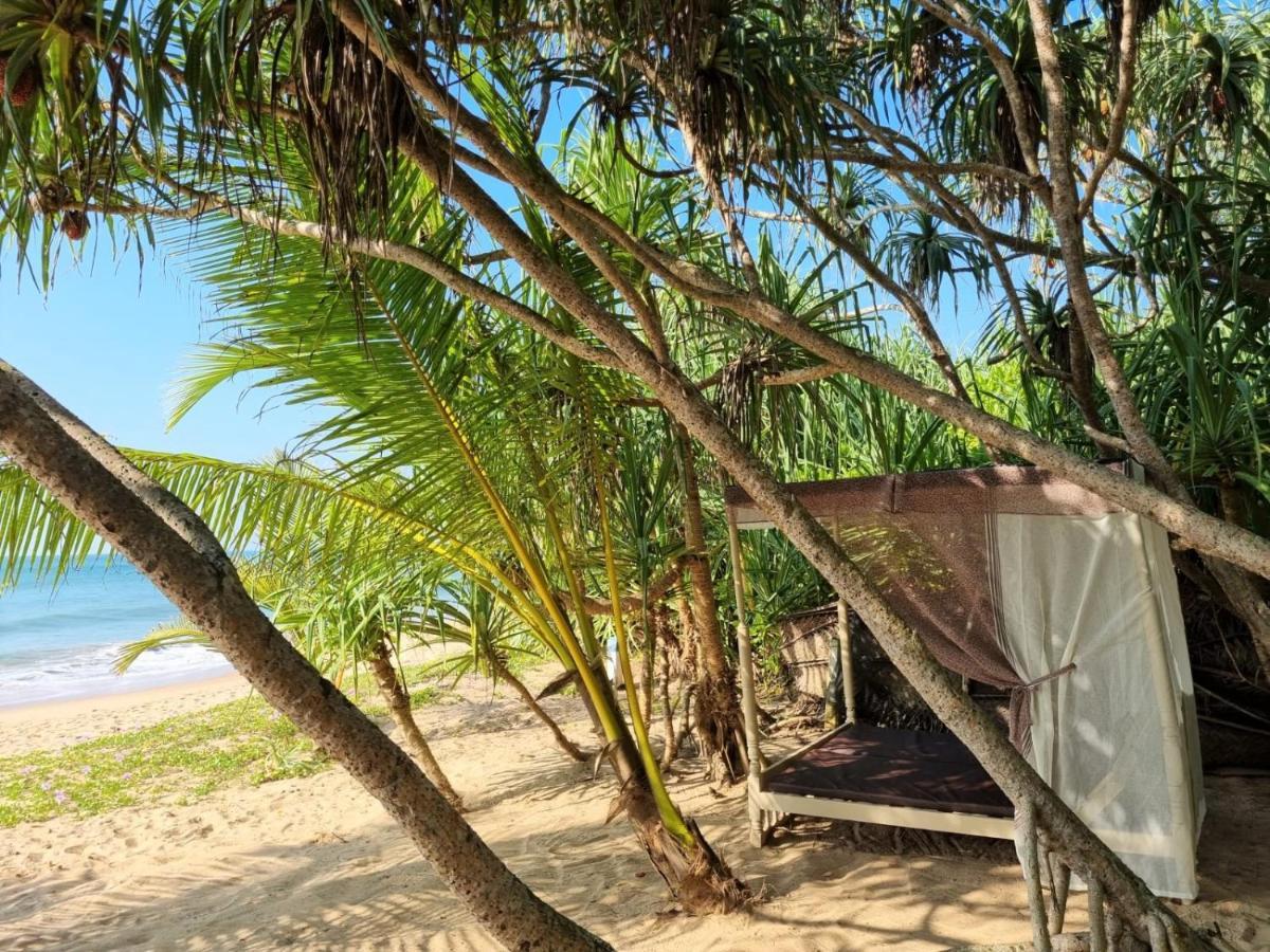 Golden Beach Paradise 탕갈레 외부 사진