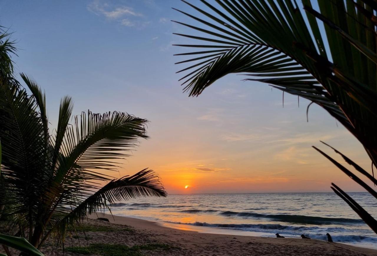 Golden Beach Paradise 탕갈레 외부 사진
