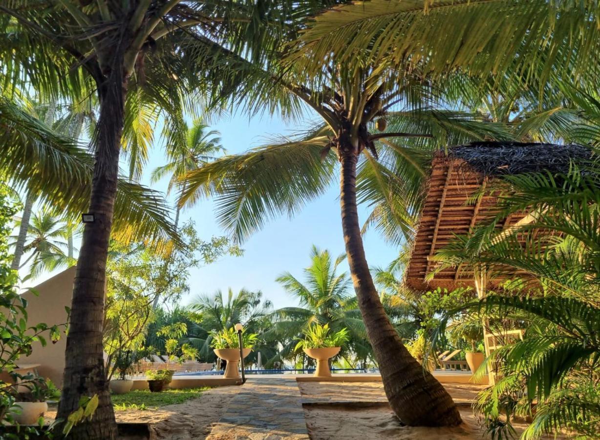 Golden Beach Paradise 탕갈레 외부 사진